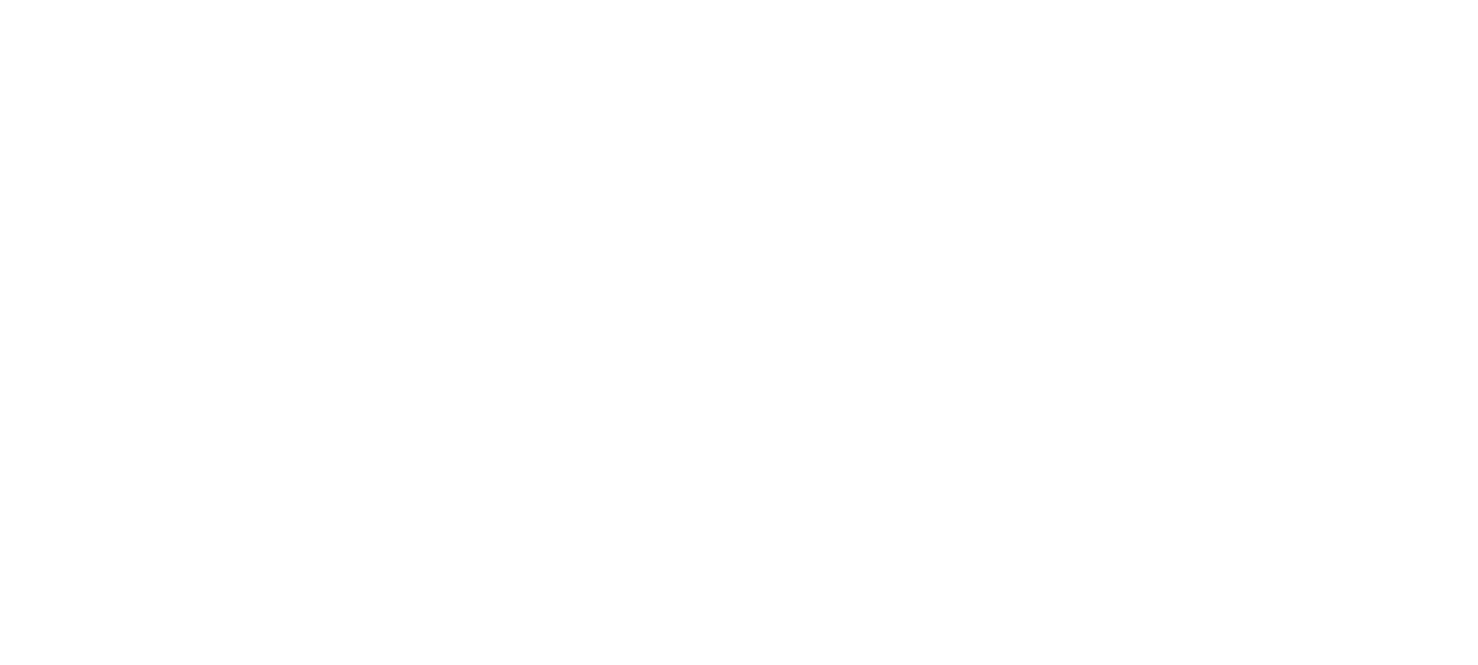 bawuestiftung