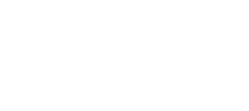 allianz-ukrainischer-organisationen